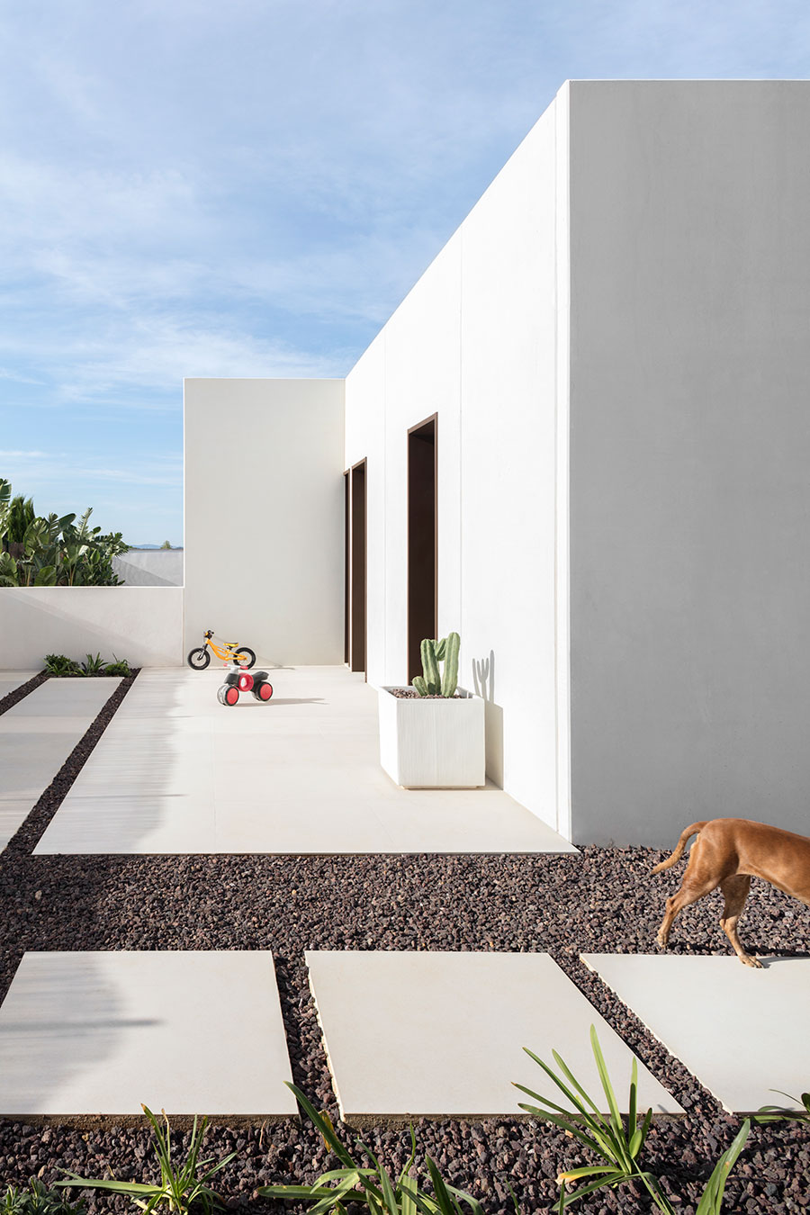 Imagen Galería 2
